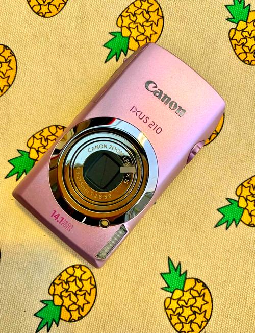 佳能佳能ixus210怎么充电?