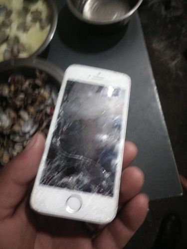 碎屏的5s能卖多少钱啊