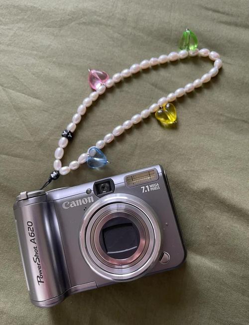 佳能A620相机的说明书谁给我一个?