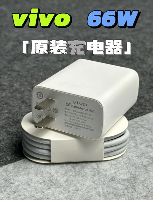 vivonex双屏版支持快充吗