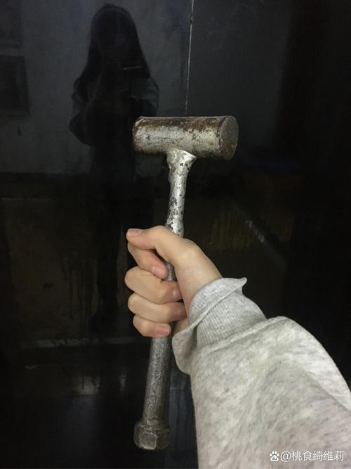 《玩个锤子》游戏攻略:如何开启双人模式手游的多重乐趣