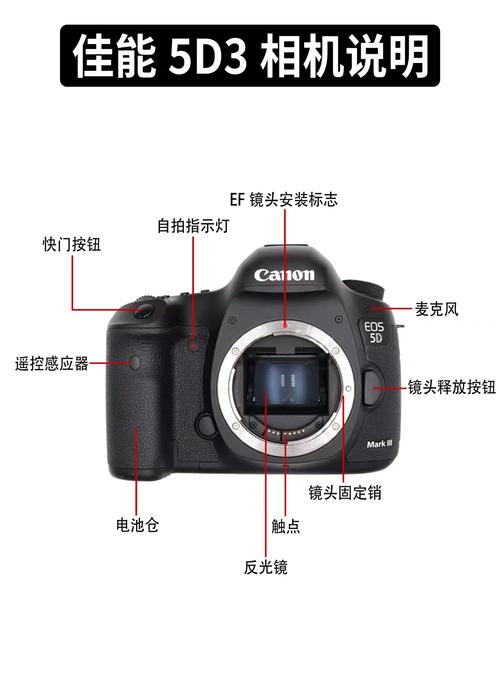 佳能5D3的像素是多少