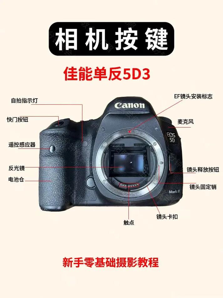佳能单反5d3都有哪些按键