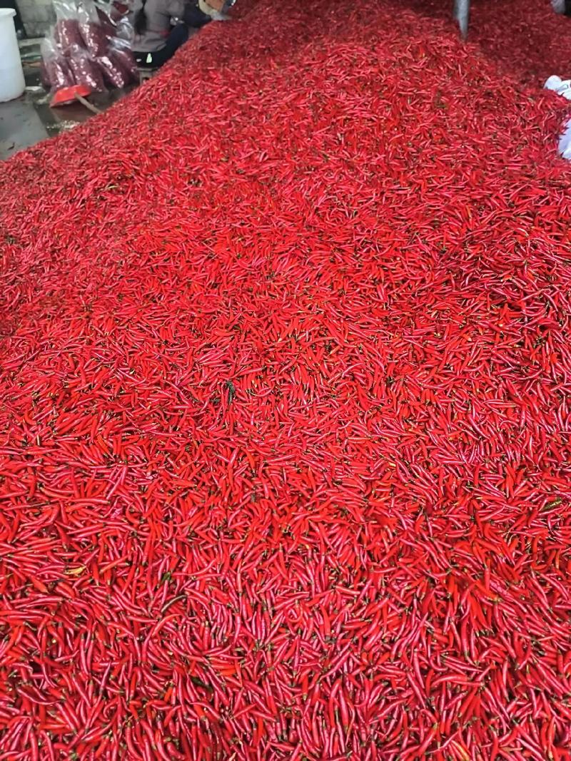 小米粥的功效与作用及食用方法