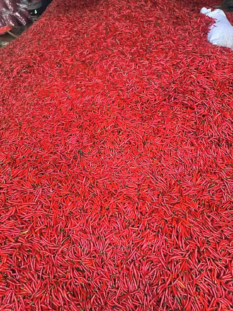 红小米的营养价值是什么好处有哪些