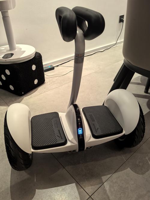 九号平衡车与小米是什么关系,是一家公司吗?