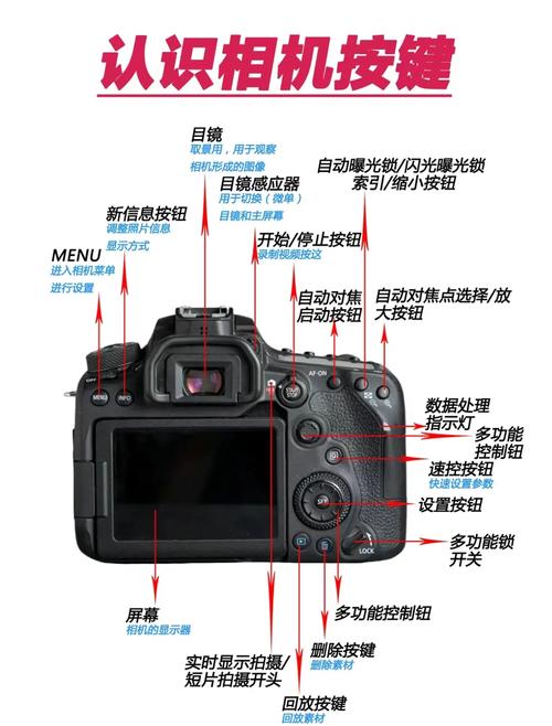 佳能相机按哪个键开始拍视频