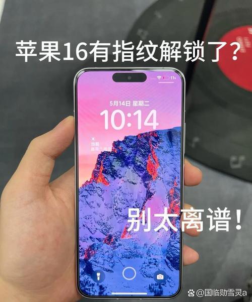 iPhone5s返回键失灵,但是指纹可用,求助