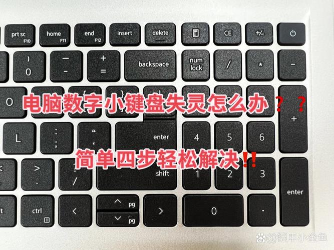 笔记本按数字怎么不管用了?