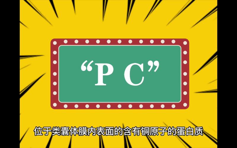 PC指的是什么?