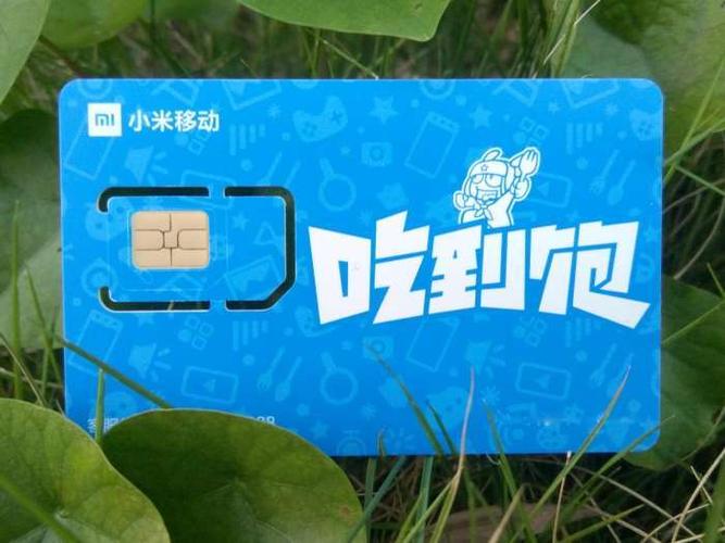 小米移动吃到饱具体指的是什么?