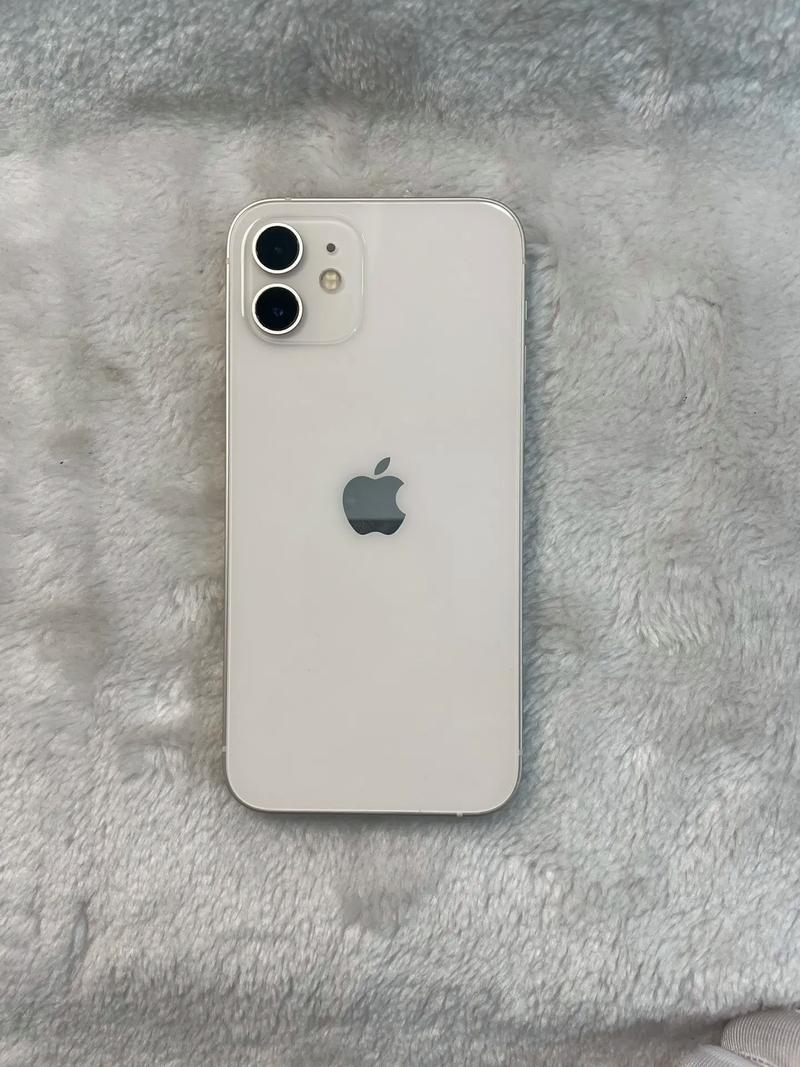 苹果12手机侧键都有什么功能