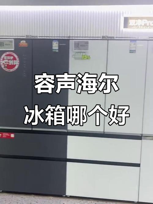冰柜是容声好还是海尔好