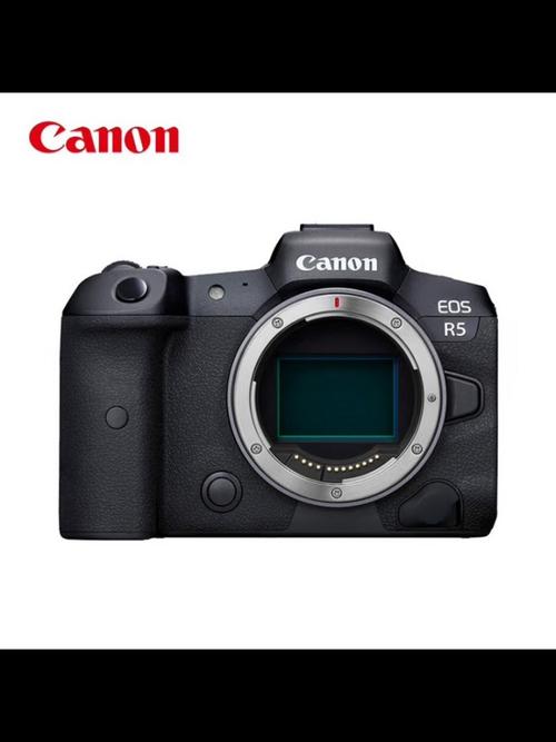 单反相机机身不用镜头能直接照相吗?买套机还是机身较划算?套机和机身是...