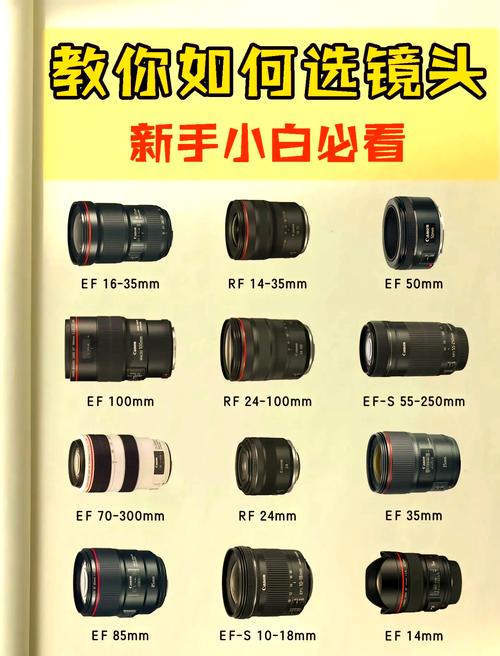 尼康单反相机不带镜头能拍照吗