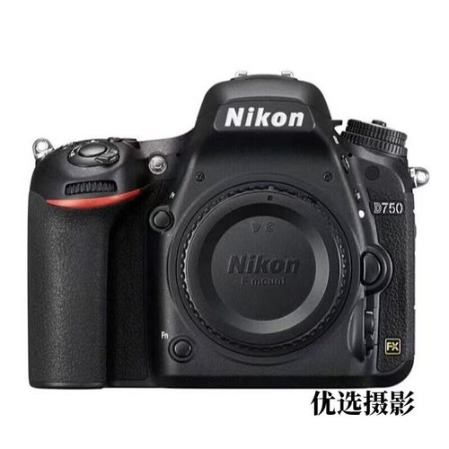 单反不含镜头可以拍照吗