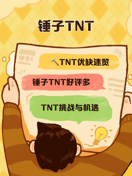 用锤子TNT写代码是一种什么体验?