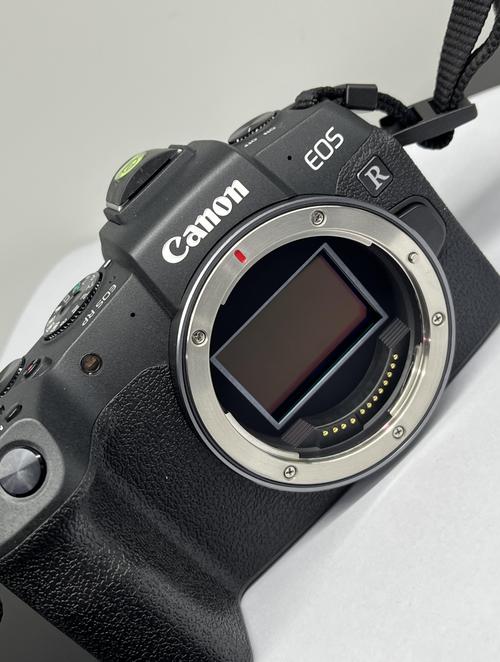 佳能相机哪个型号比较好