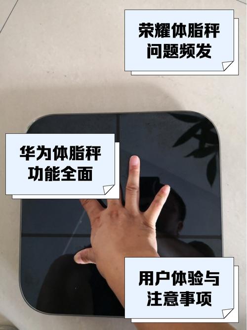 荣耀智能体脂秤2今日首销:可测量14项身体指标