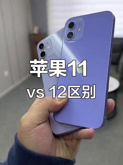 苹果11和12屏幕一样大吗