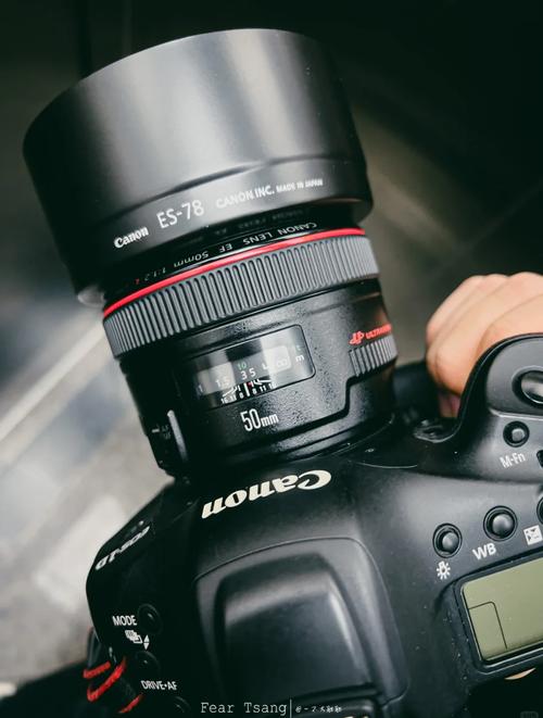 佳能d系列最值得买的相机