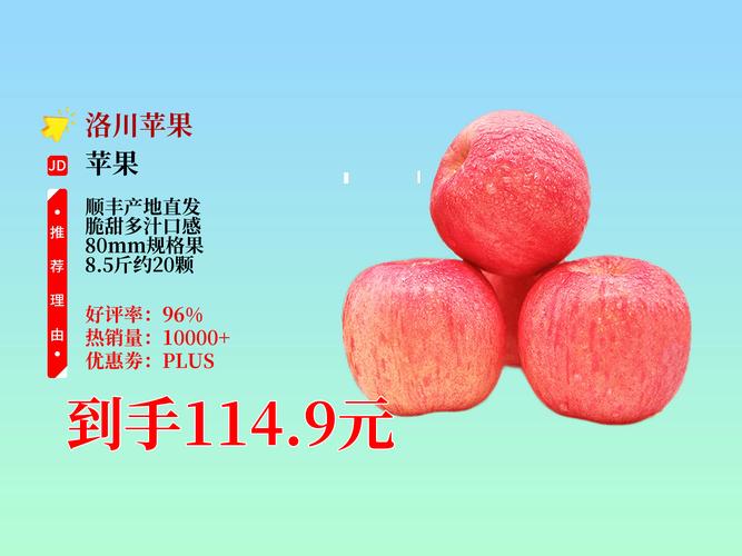 正常苹果多少钱一斤