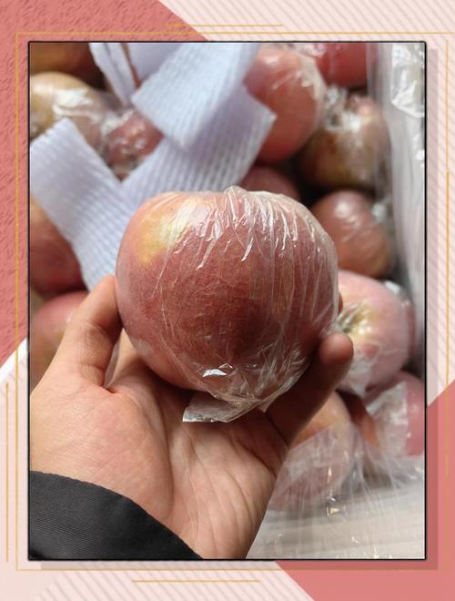 苹果多少钱一斤