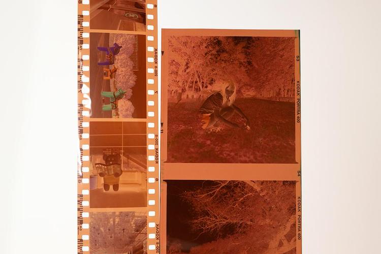 胶片和胶卷有什么区别