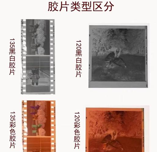 胶卷相机和胶片相机有什么区别!??