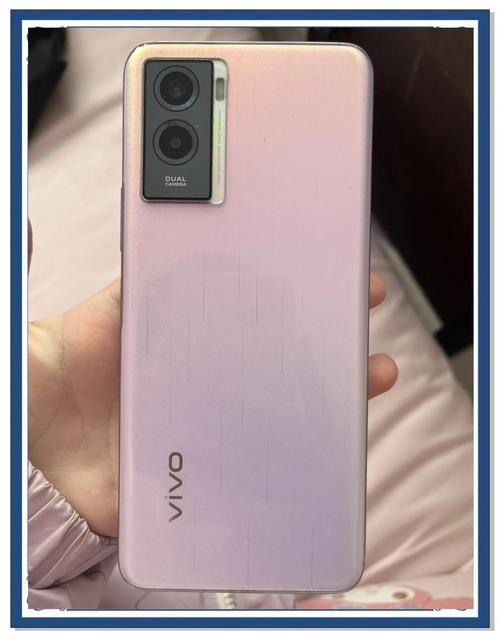 vivoy55可以吗?