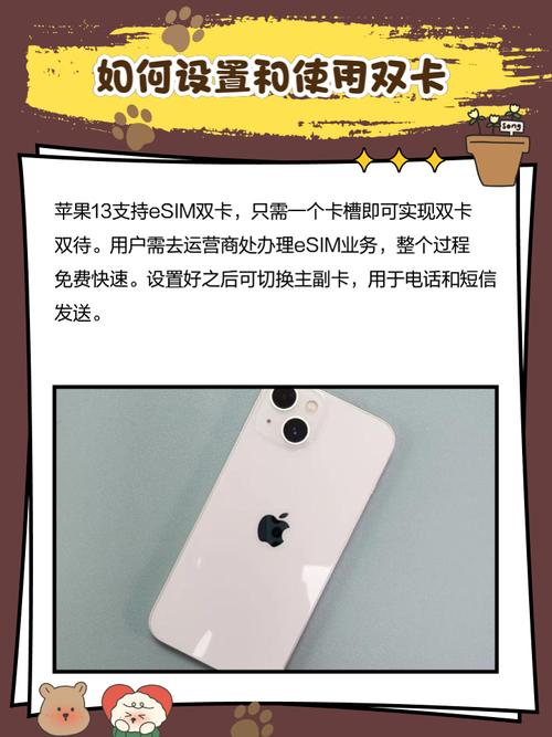 苹果13可以插两张卡吗