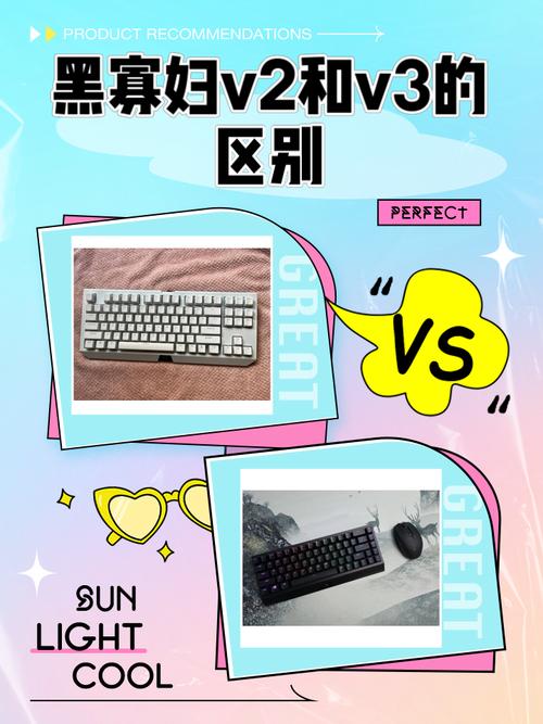 黑寡妇标准版与V3版本的差别是什么?