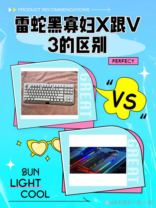 雷蛇黑寡妇x跟v3的区别