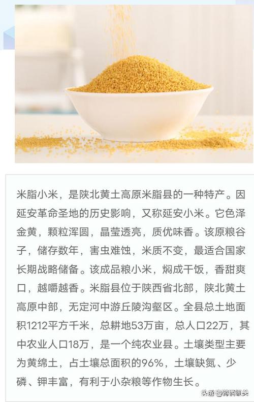 全国比较好吃的小米排名(全国比较好的小米哪里产的)