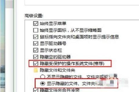 如何将电脑中隐藏的文件显示出来的详细方法