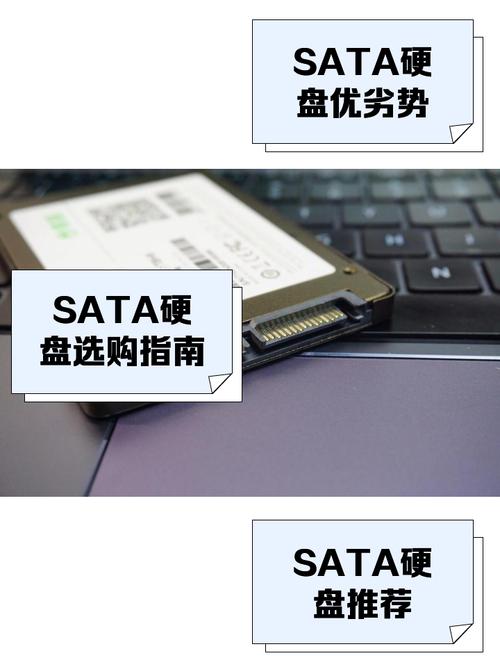 msata固态硬盘和sata硬盘有什么区别啊?