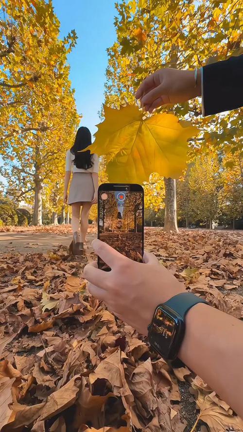 前十最佳拍照手机排名有哪些?