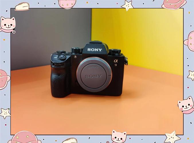 索尼a6300是全画幅微单吗?有没有人清楚?