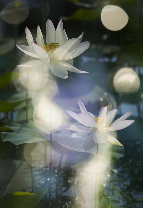 5d3多重曝光怎么拍