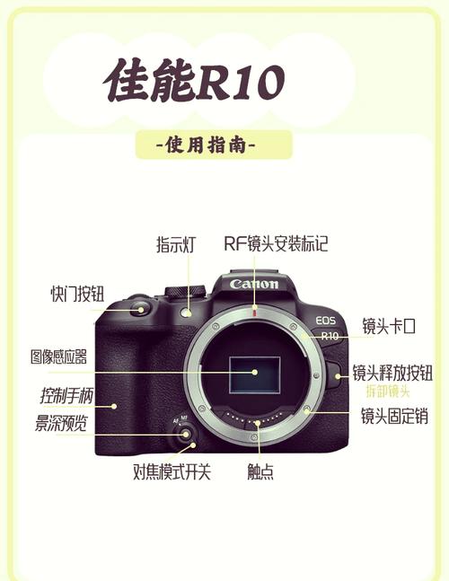 佳能r5传感器是背照式的吗