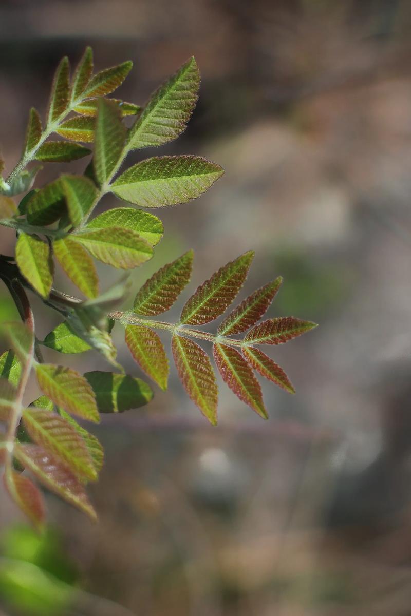 佳能60D拍照的疑问