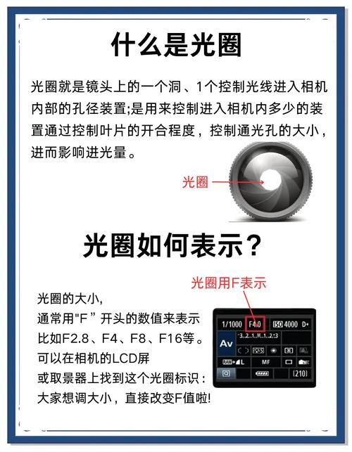 如何设置佳能350d的参数以获得最佳拍摄效果?