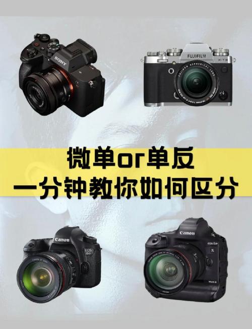 微单与无反相机的区别