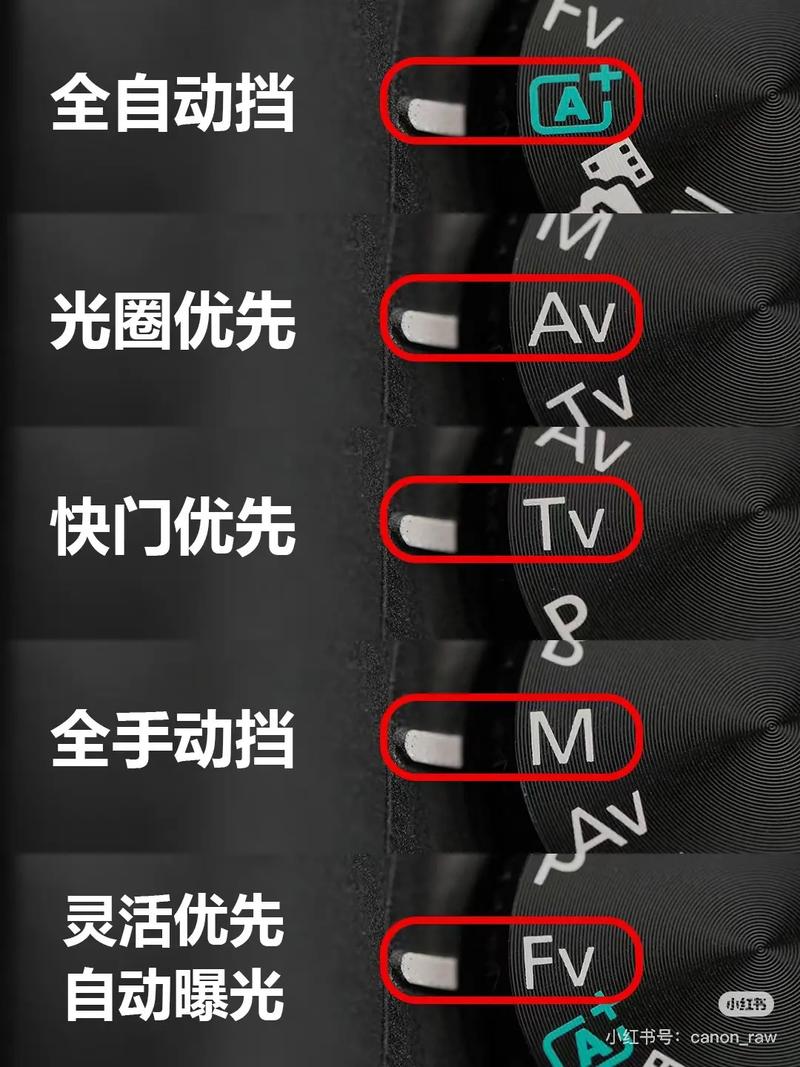 佳能6d各个档位介绍