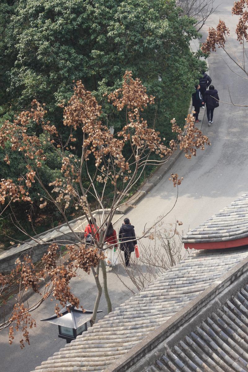 佳能40d用的镜头是什么?麻烦详细说一下。