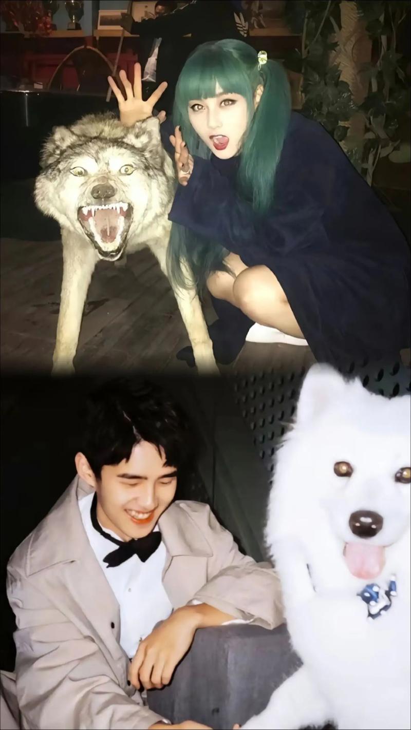 小米的发展史是什么?