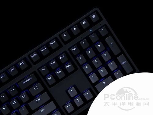 魔力鸭改名叫什么了