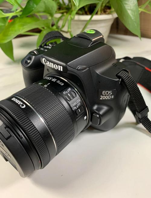 佳能200D2和尼康D5300相比,哪个性价比高?