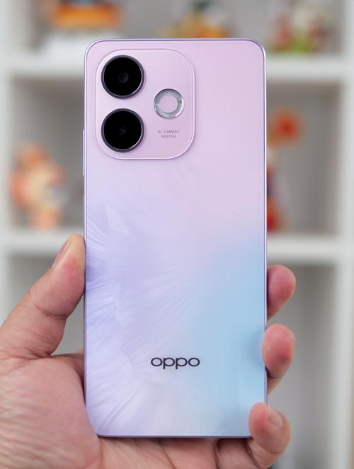 OPPOa55可以用100W快充吗