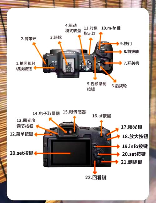 佳能相机倍数看哪里
